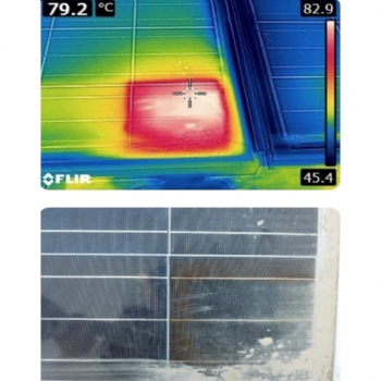 Temizli�in �nemi