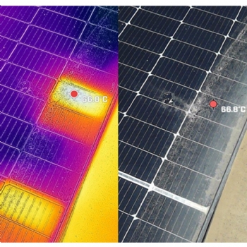 Temizli�in �nemi