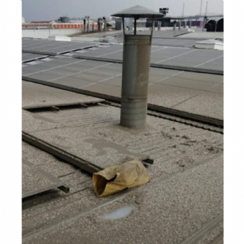 Temizli�in �nemi